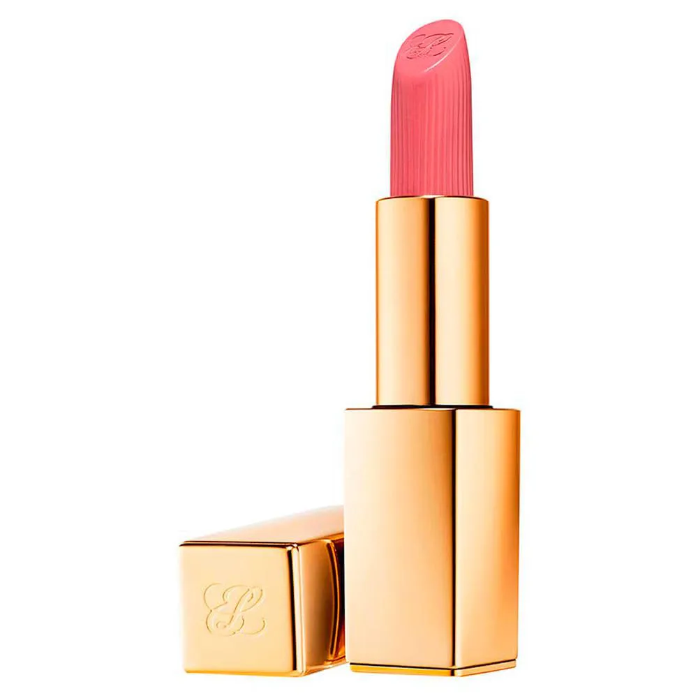 Batom Matte Estée Lauder Pure Color Lipstick 816 Suit UP