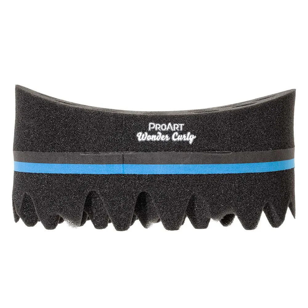 Esponja de Cabelo Proart Twist Curva Dupla Face 1 UN