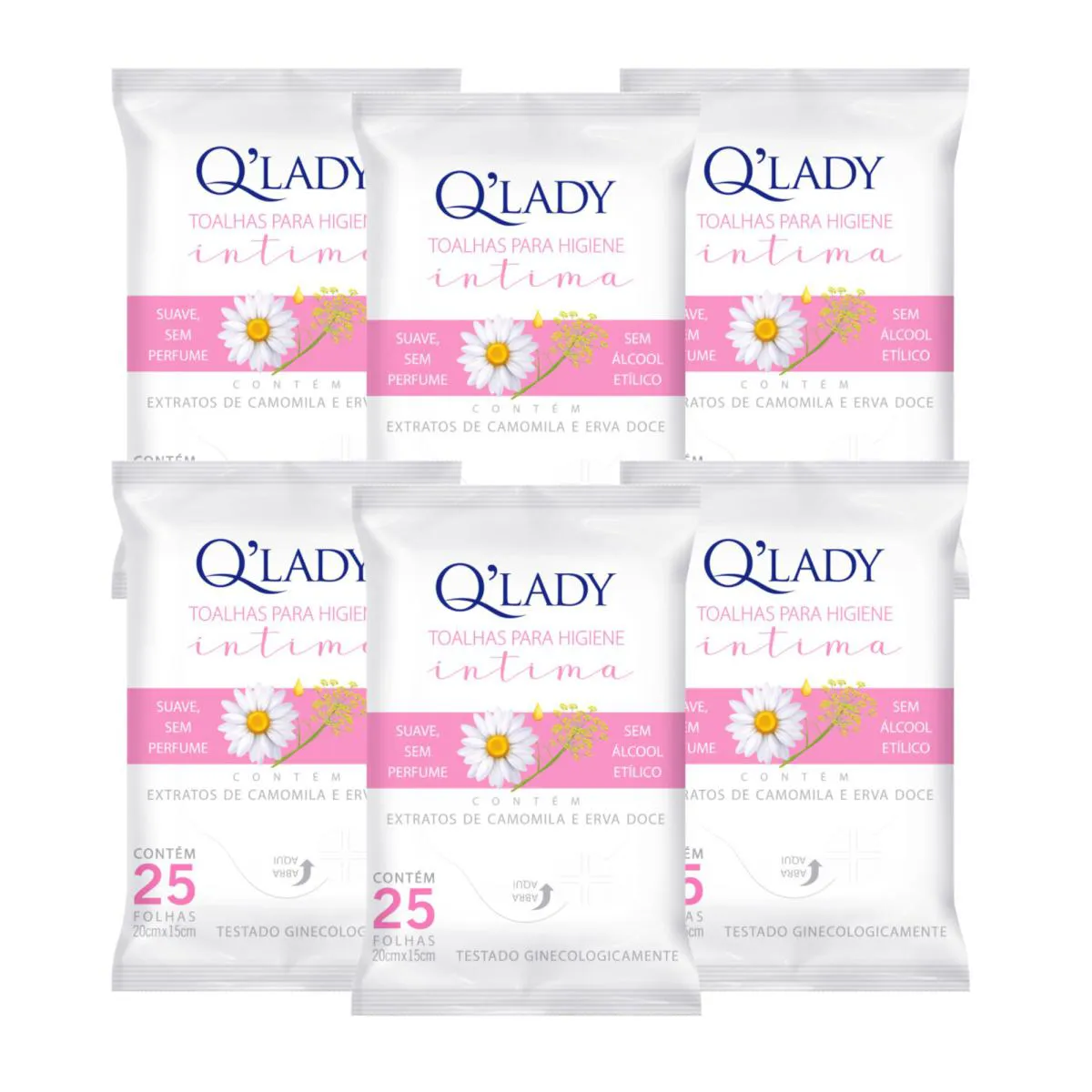 Kit C6 Toalhas Higiene Suave Íntima C25 Q Lady