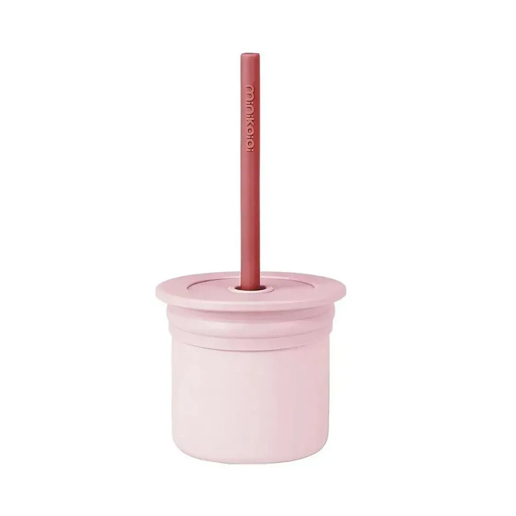 Conjunto Copo com Canudo + Tampa Snack Velvet Rose - Minikoioi