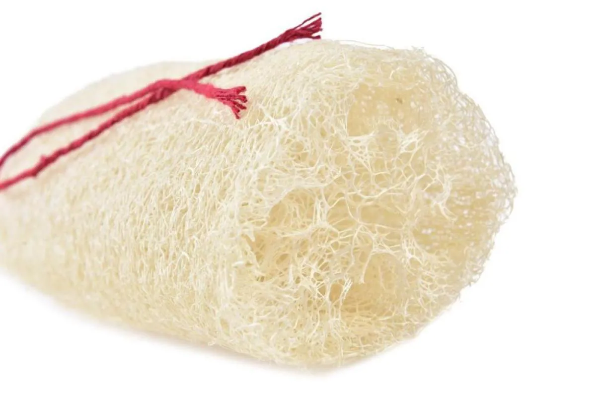 Bucha Vegtal Pedaco Isabrasil C/ Cordao Cod: 003-4
