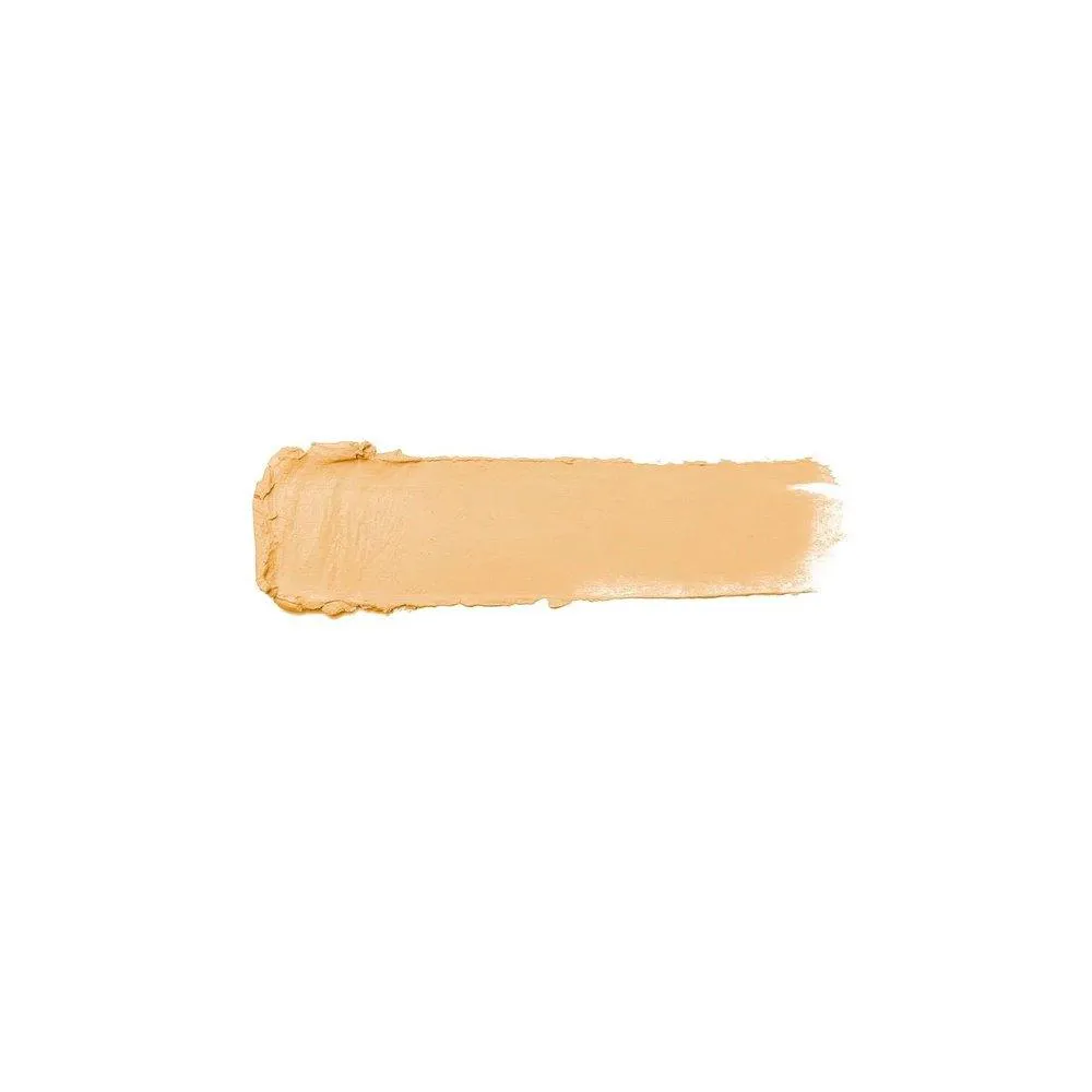 Corretivo Stick Cover Fran By Franciny Ehlke C 02